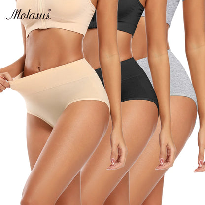 YouthBae High waist panty || multicolour